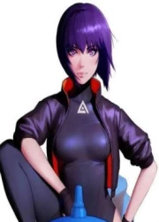 Ghost in the Shell: SAC_2045